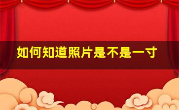 如何知道照片是不是一寸