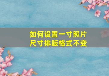 如何设置一寸照片尺寸排版格式不变