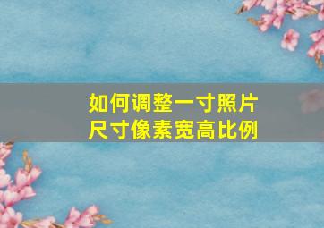 如何调整一寸照片尺寸像素宽高比例