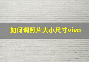 如何调照片大小尺寸vivo