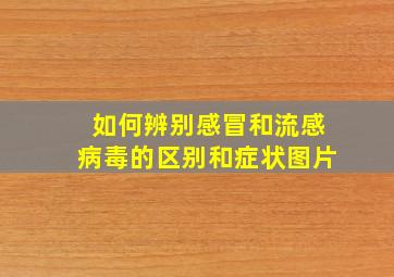 如何辨别感冒和流感病毒的区别和症状图片