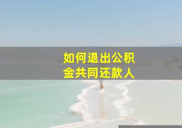 如何退出公积金共同还款人