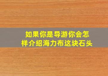 如果你是导游你会怎样介绍海力布这块石头