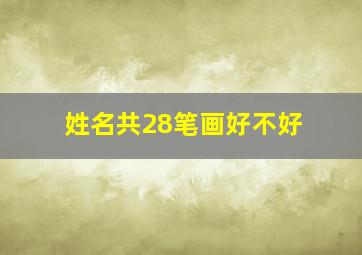 姓名共28笔画好不好