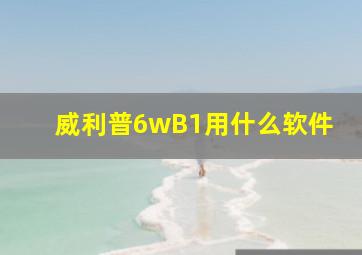 威利普6wB1用什么软件