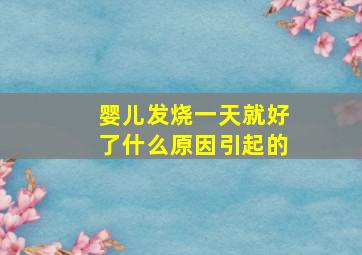 婴儿发烧一天就好了什么原因引起的