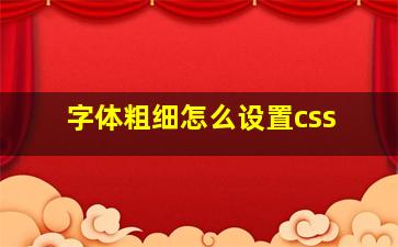 字体粗细怎么设置css