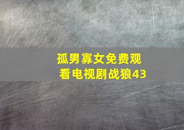 孤男寡女免费观看电视剧战狼43