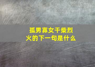 孤男寡女干柴烈火的下一句是什么