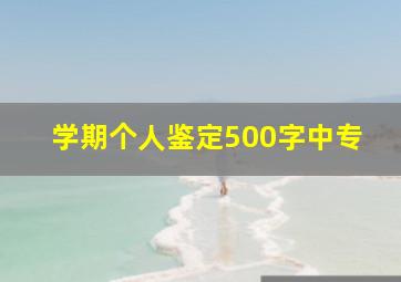 学期个人鉴定500字中专