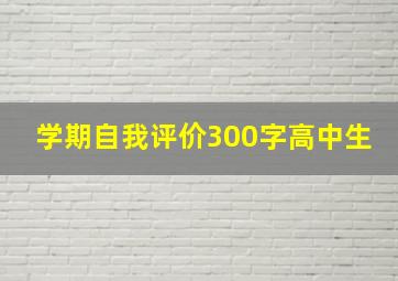 学期自我评价300字高中生