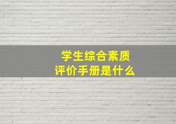 学生综合素质评价手册是什么