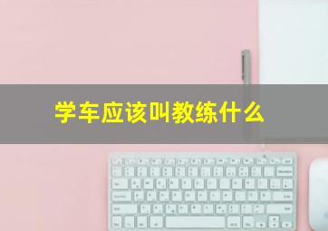 学车应该叫教练什么