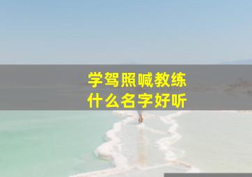 学驾照喊教练什么名字好听