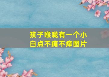 孩子喉咙有一个小白点不痛不痒图片