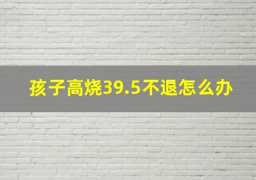 孩子高烧39.5不退怎么办