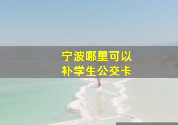 宁波哪里可以补学生公交卡