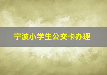 宁波小学生公交卡办理