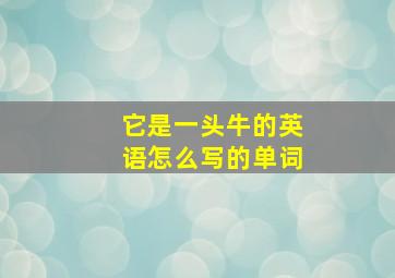 它是一头牛的英语怎么写的单词