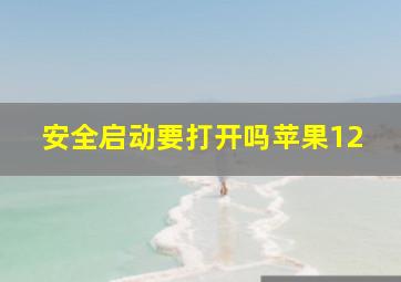 安全启动要打开吗苹果12