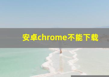 安卓chrome不能下载