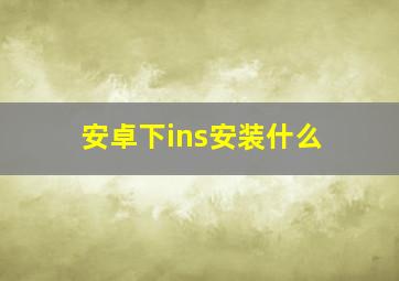 安卓下ins安装什么