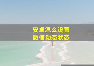 安卓怎么设置微信动态状态