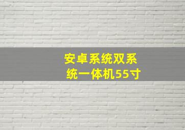 安卓系统双系统一体机55寸