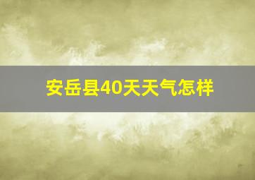 安岳县40天天气怎样