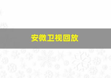 安微卫视回放