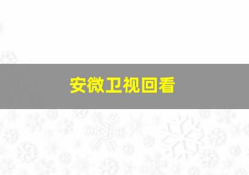 安微卫视回看