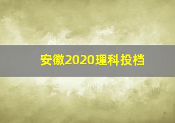 安徽2020理科投档