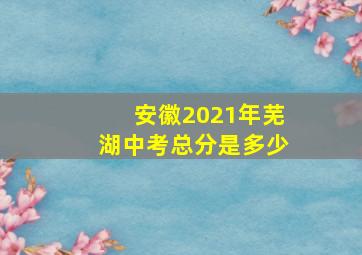 安徽2021年芜湖中考总分是多少