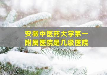 安徽中医药大学第一附属医院是几级医院