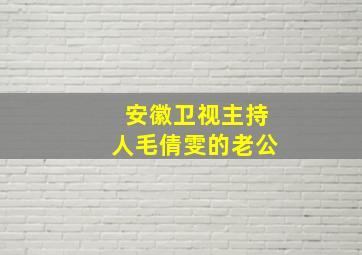 安徽卫视主持人毛倩雯的老公