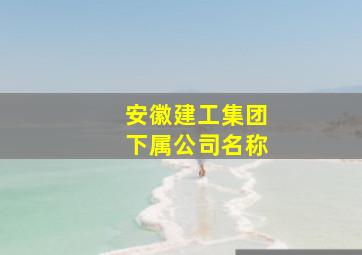 安徽建工集团下属公司名称