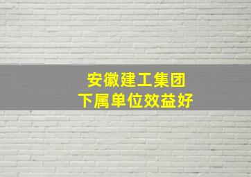 安徽建工集团下属单位效益好