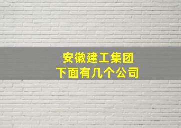 安徽建工集团下面有几个公司