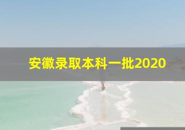 安徽录取本科一批2020