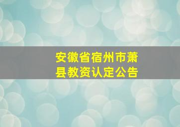 安徽省宿州市萧县教资认定公告