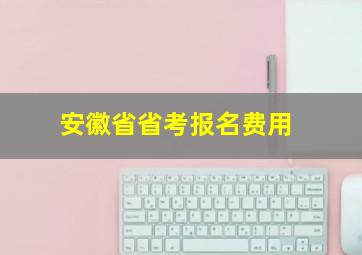 安徽省省考报名费用