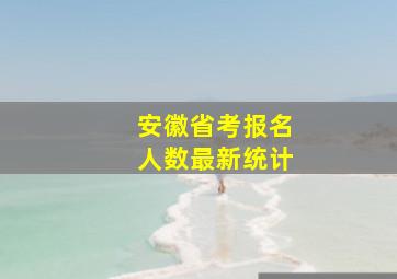 安徽省考报名人数最新统计