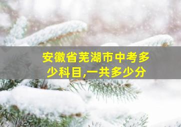 安徽省芜湖市中考多少科目,一共多少分