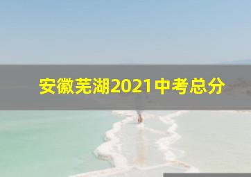 安徽芜湖2021中考总分