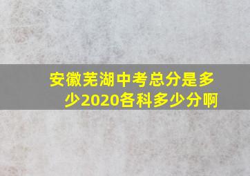 安徽芜湖中考总分是多少2020各科多少分啊