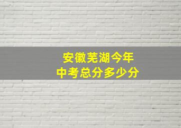 安徽芜湖今年中考总分多少分