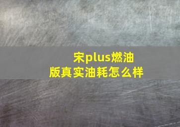 宋plus燃油版真实油耗怎么样