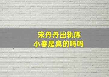 宋丹丹出轨陈小春是真的吗吗