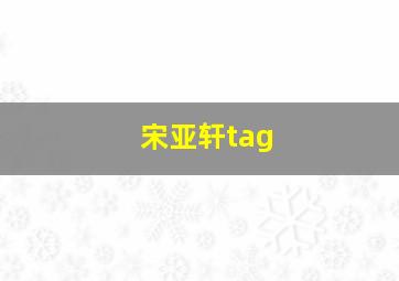 宋亚轩tag