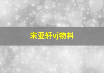 宋亚轩vj物料